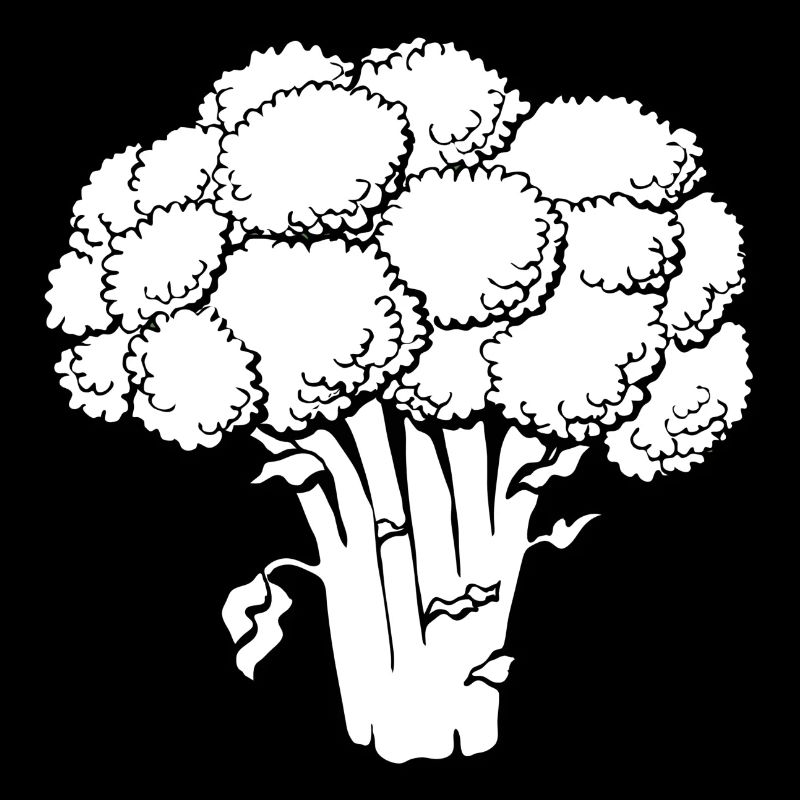 broccoli broccoli veggie gemuese vegetables15