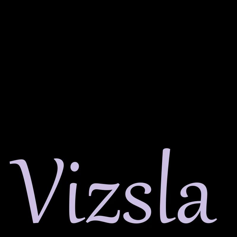 hongarianvizsla_01_2