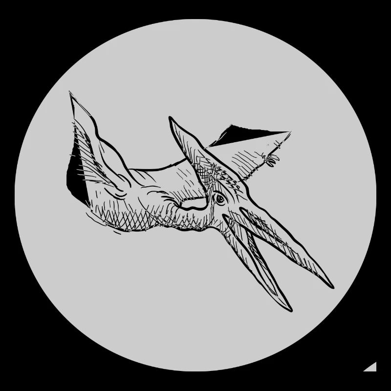 Pterosaur Dino Dinosaur Dinosaur