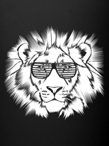 Funky Lion Darks