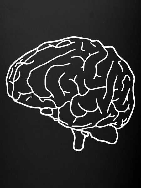 Cerveau