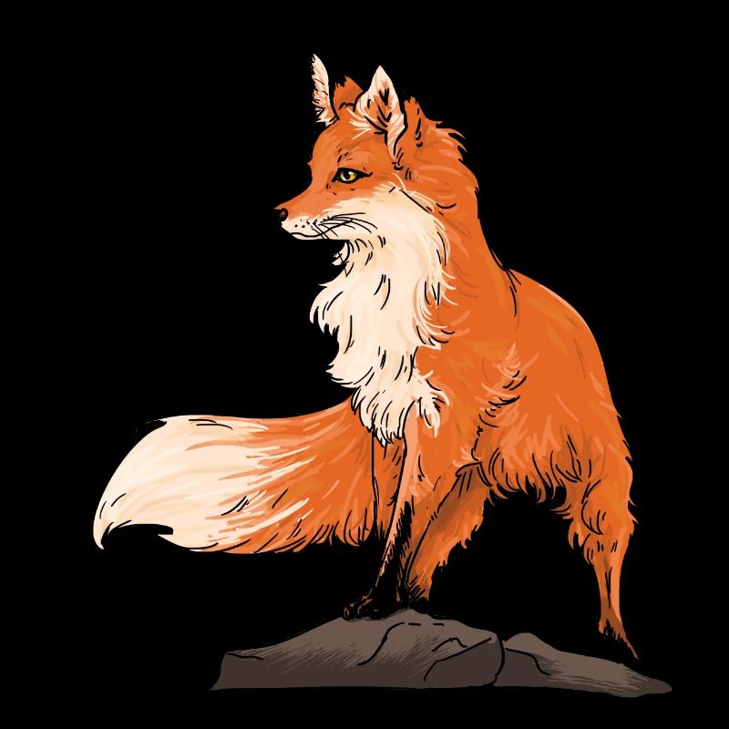 Schöner Fuchs