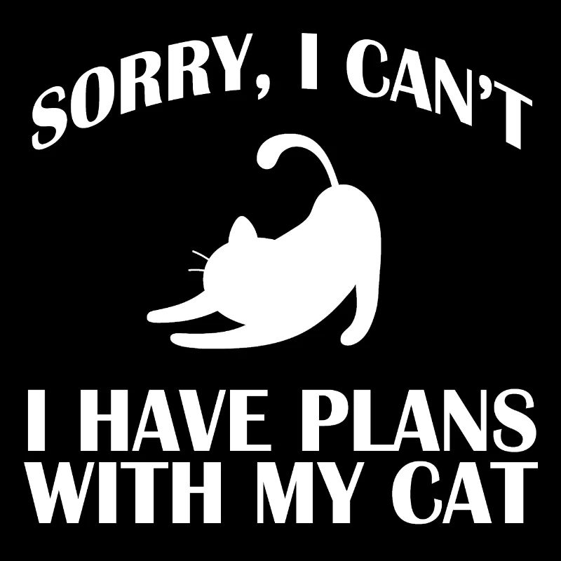 Chat chat minou Minou Chat Minou
