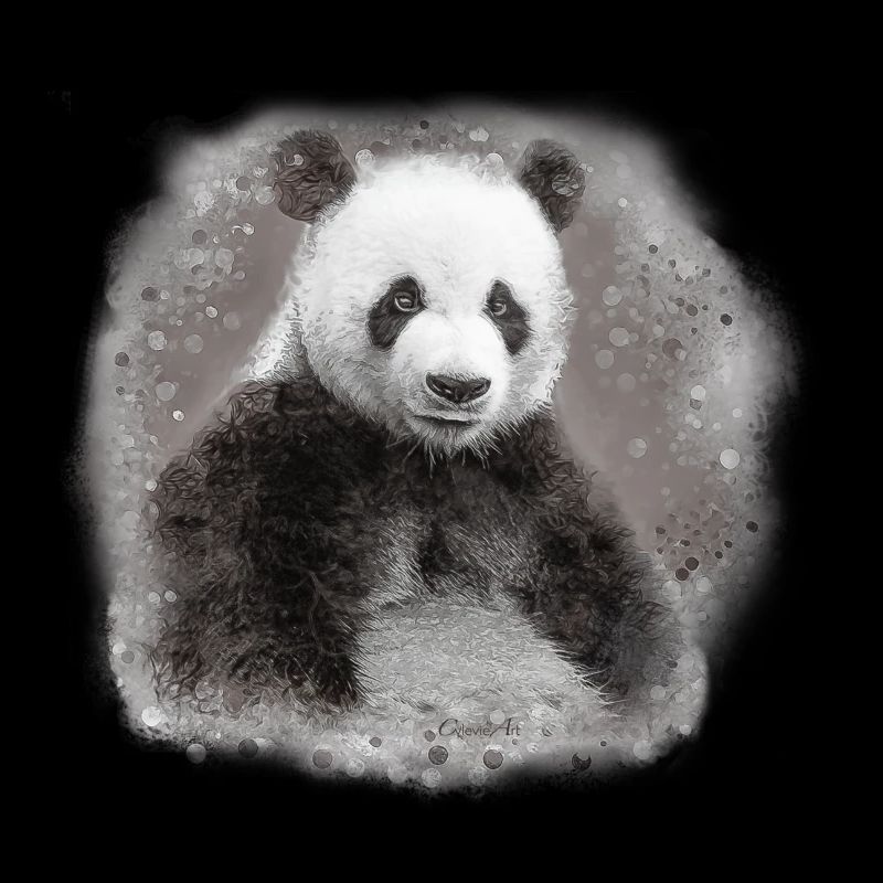 panda