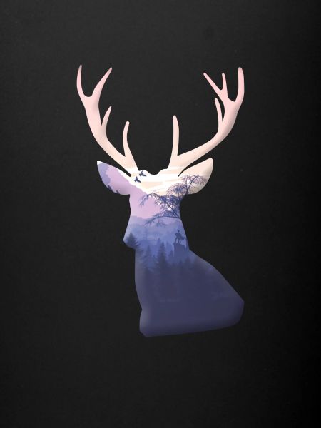 Cerf