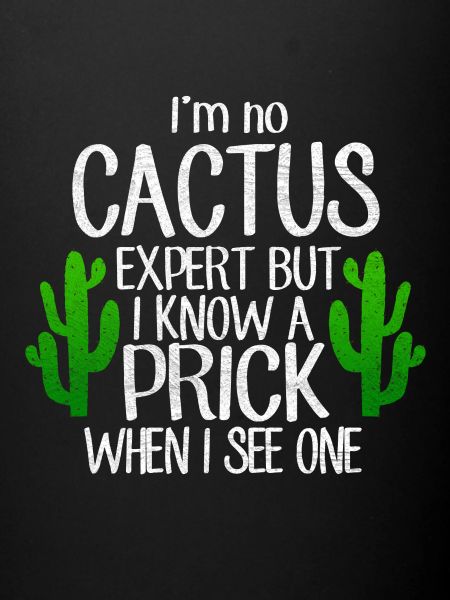 Cacti Cactus