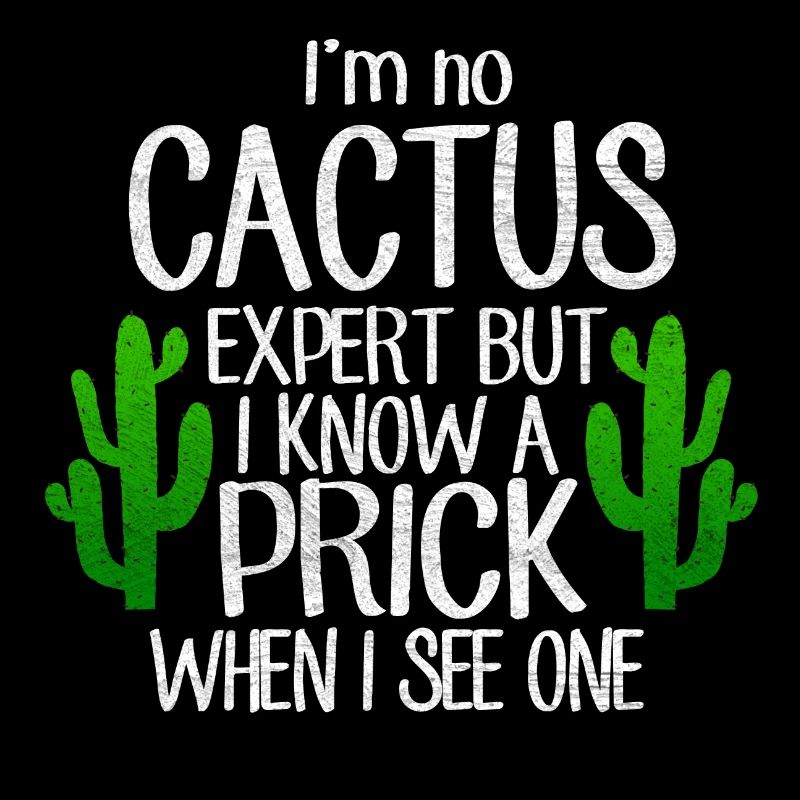 Cacti Cactus