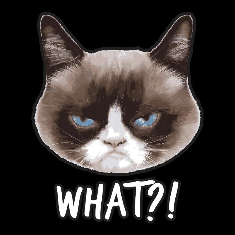 Grumpy Cat Quoi?