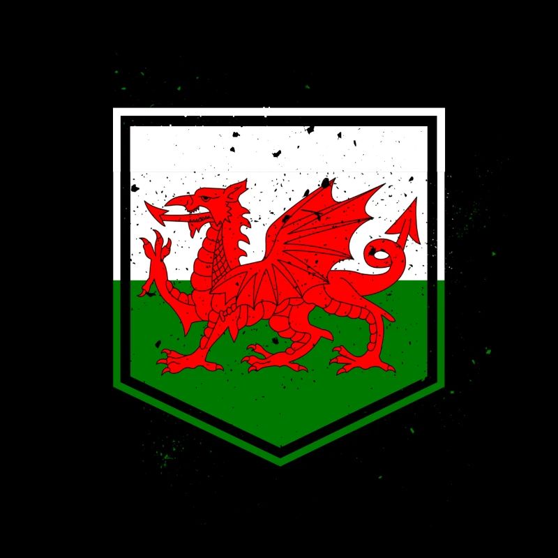 Wales flag flag