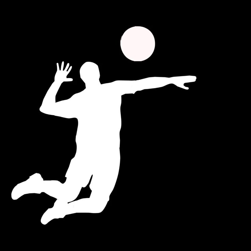 volley-ball