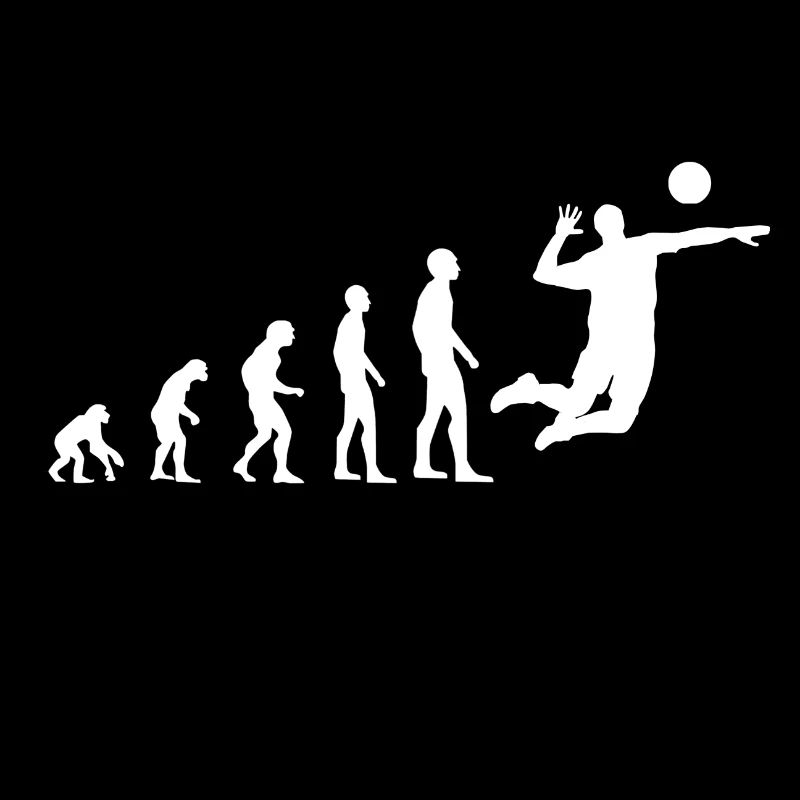 Evolution Volleyball
