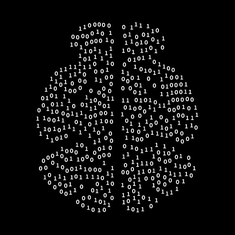Binary Brain
