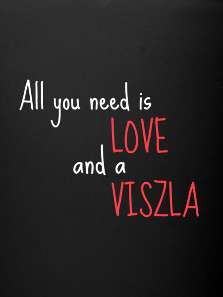 Love Viszla