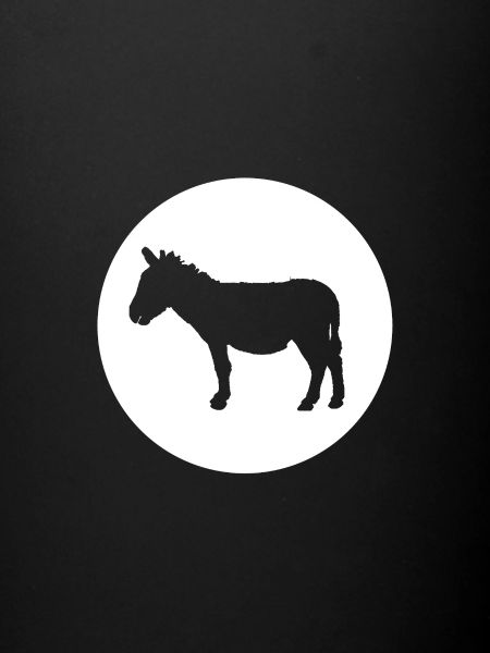 Donkey