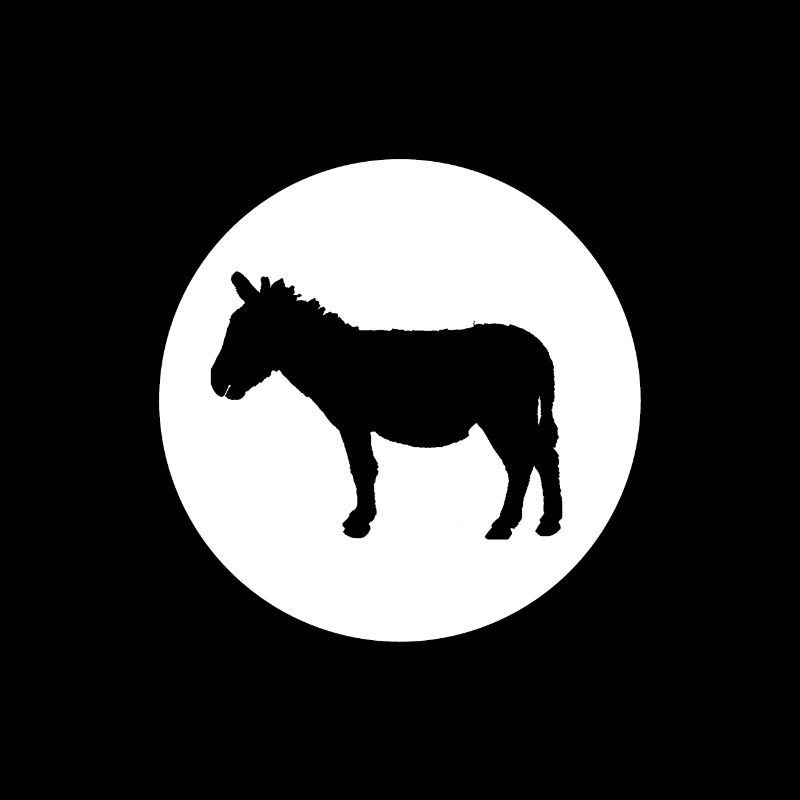 Donkey