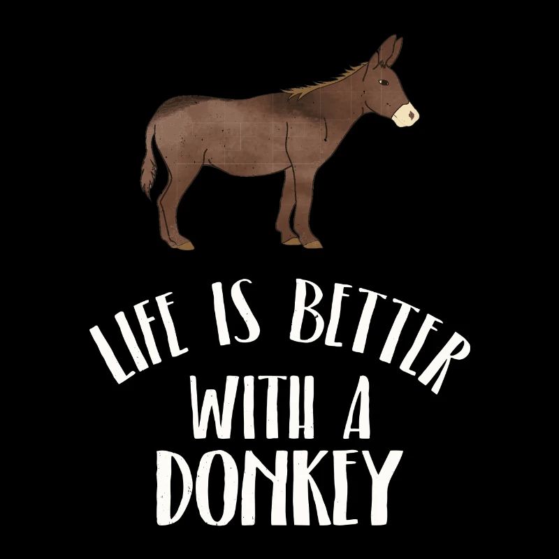 Lustige Tiere Bilder Esel Tierliebe Donkey