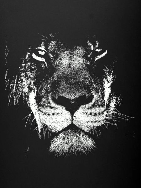 Lionhead
