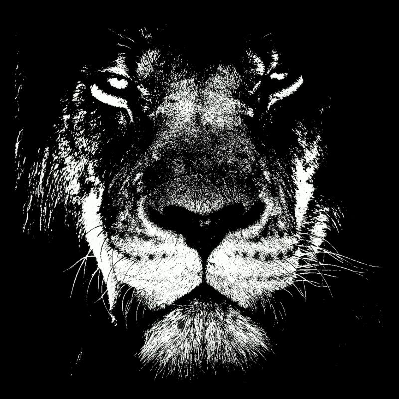 Lionhead