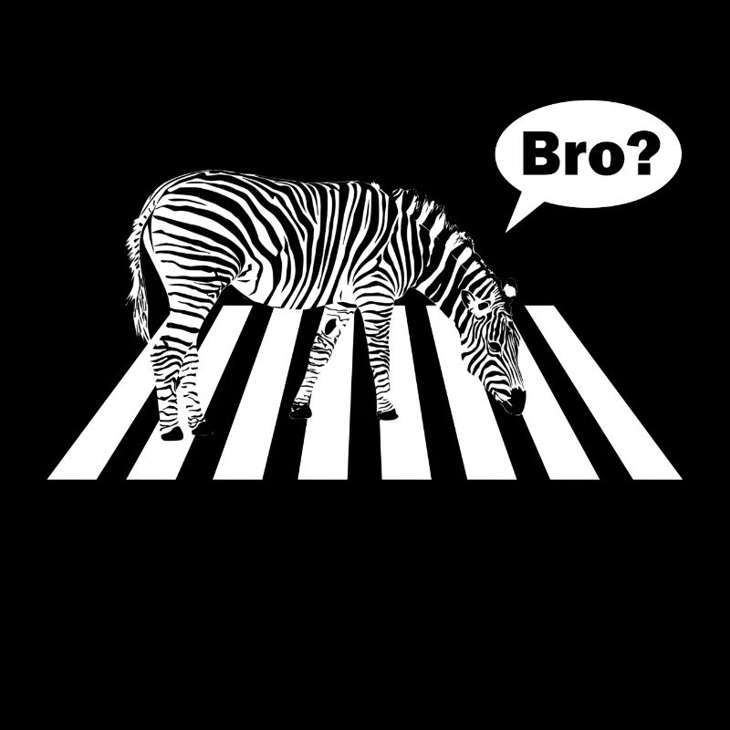 Zebra crosswalk brother