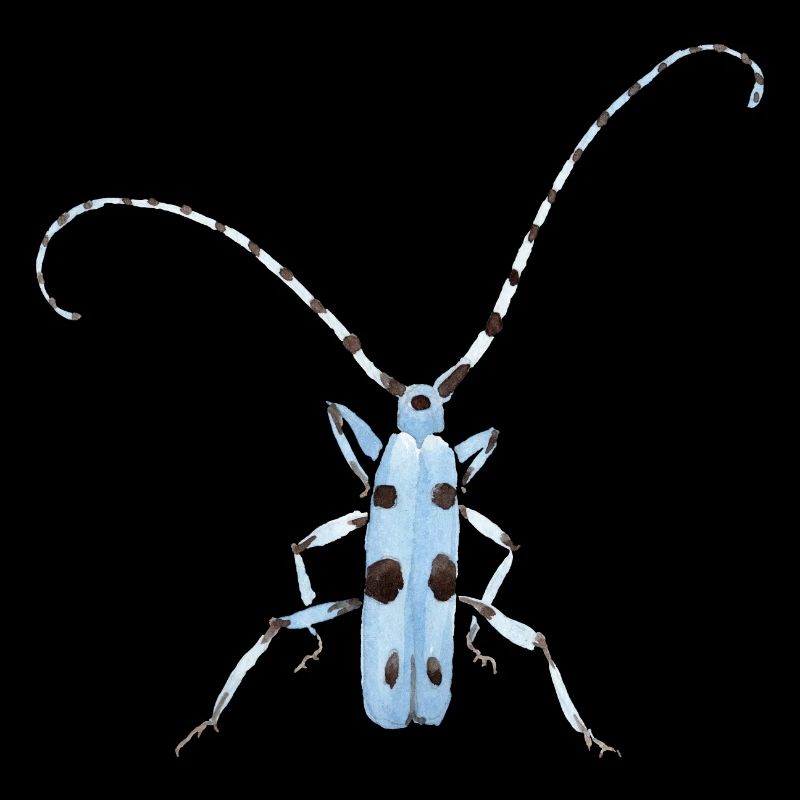 L’insecte bleu avec des points de cadeaux