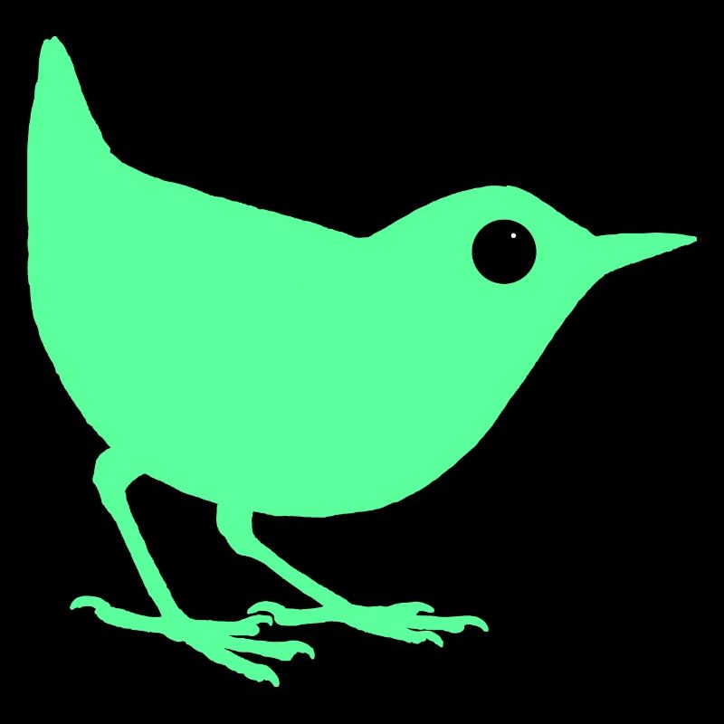 Oiseau turquoise
