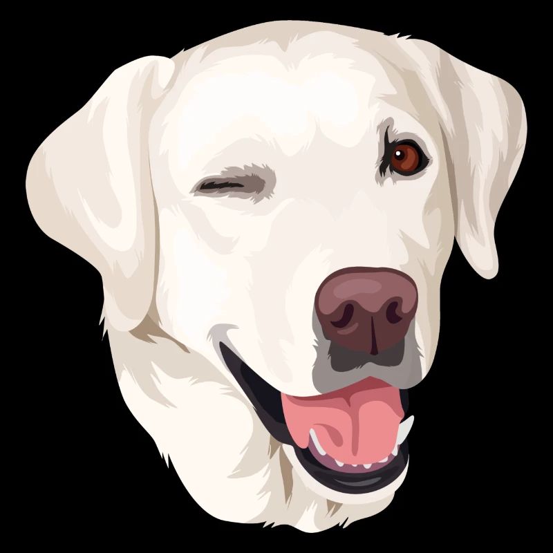 Labrador beige head