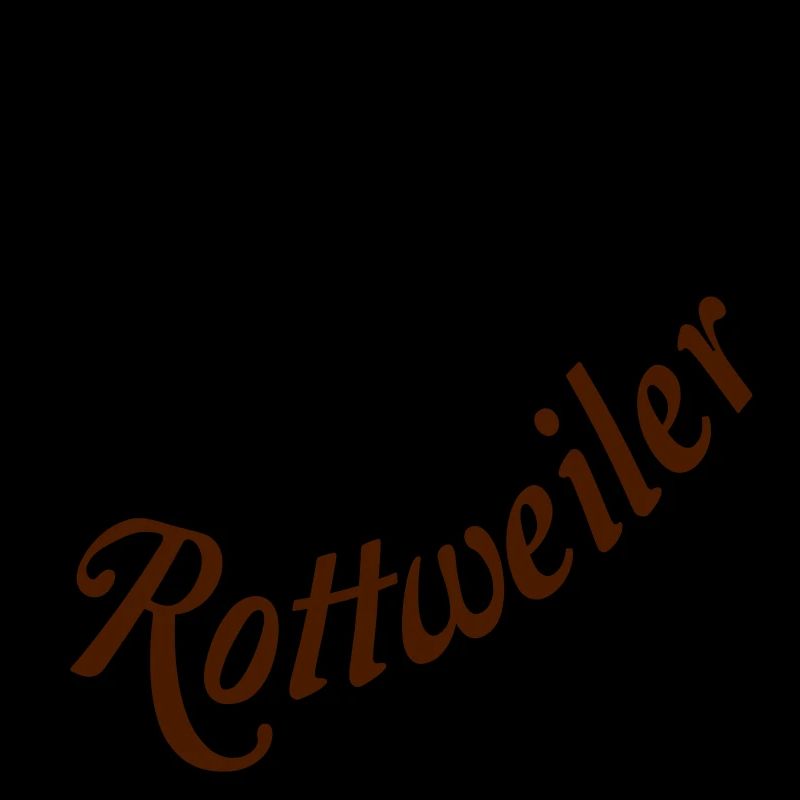 569 Rottweiler chien