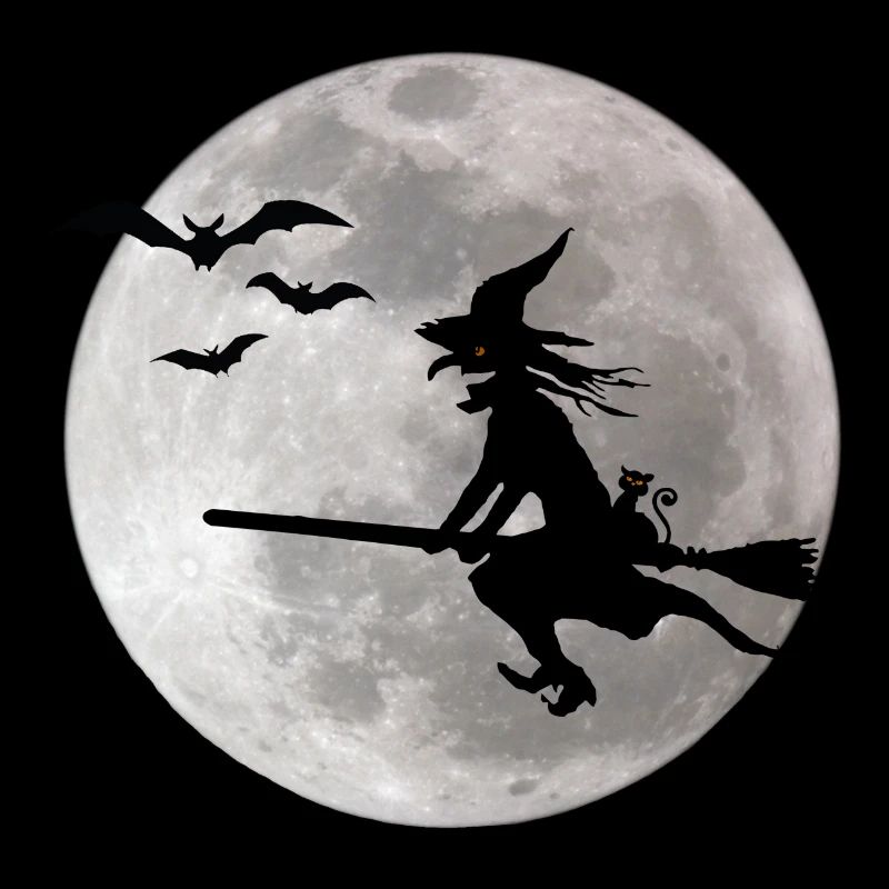 Halloween witch with a cat flies on the sky