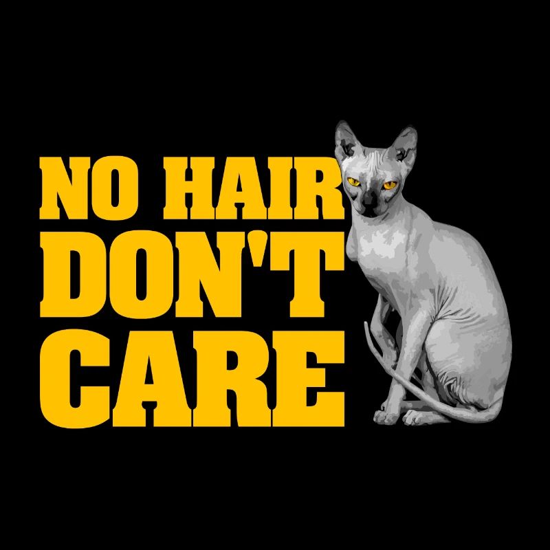 Drôle de Sphynx sans cheveux chat Sphinx cadeau