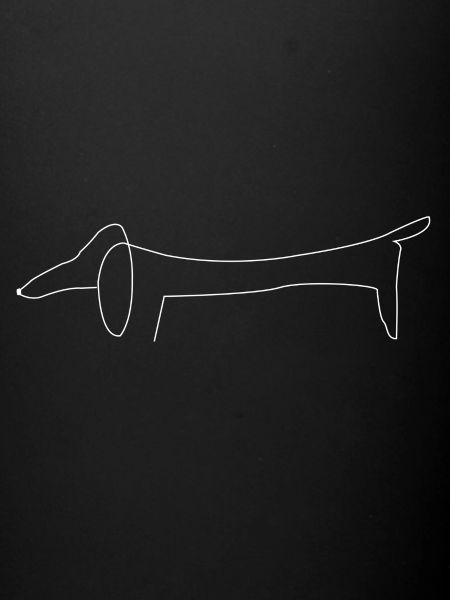 dachshund