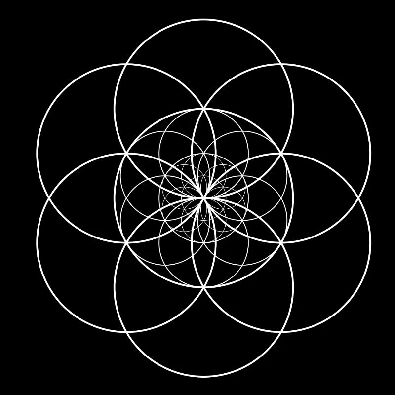 Semence de Vie Transcendantale