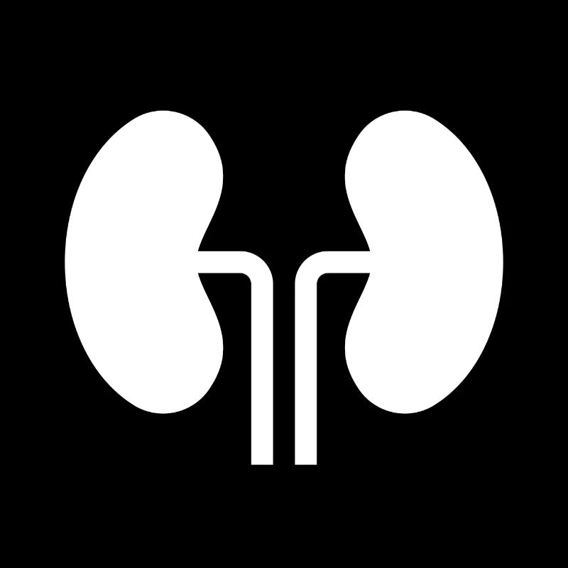 kidneys