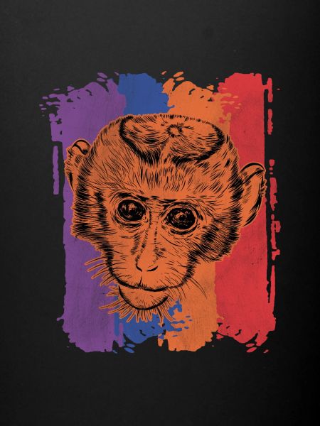 Singe Singe