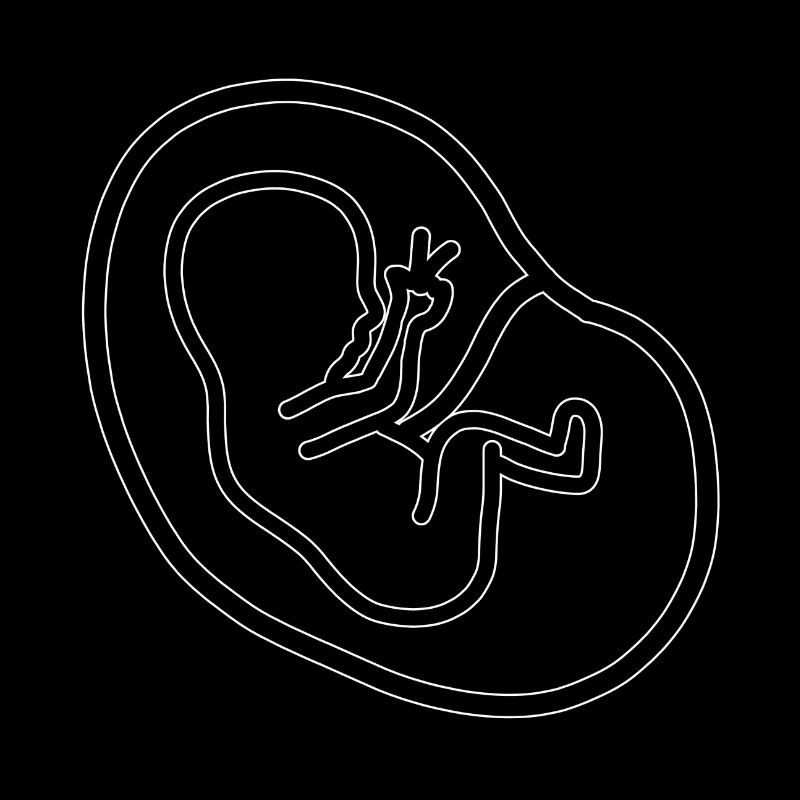 bébé grossesse foetus