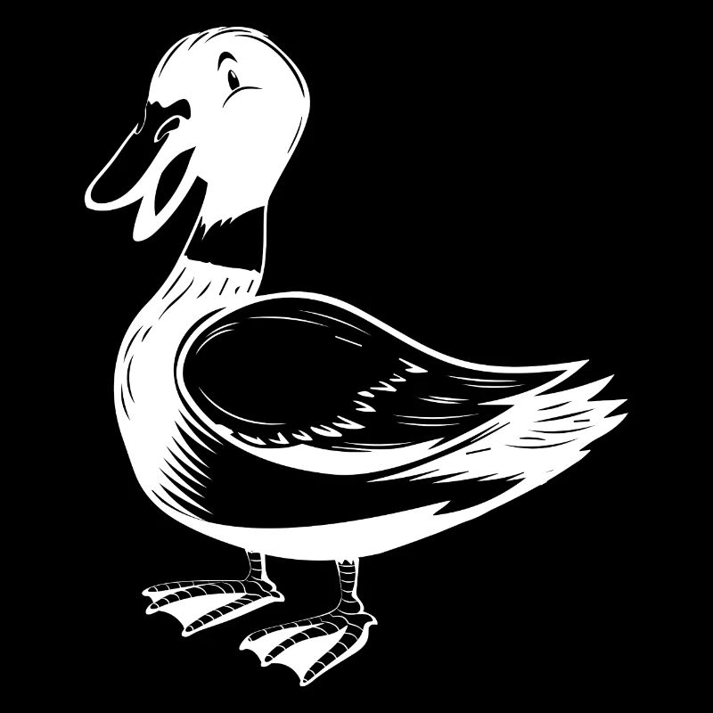 Duck Wild Duck Animal