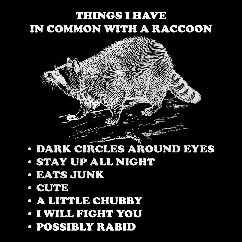 racoon