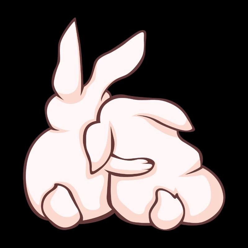 Rabbit Rabbit Cute animals
