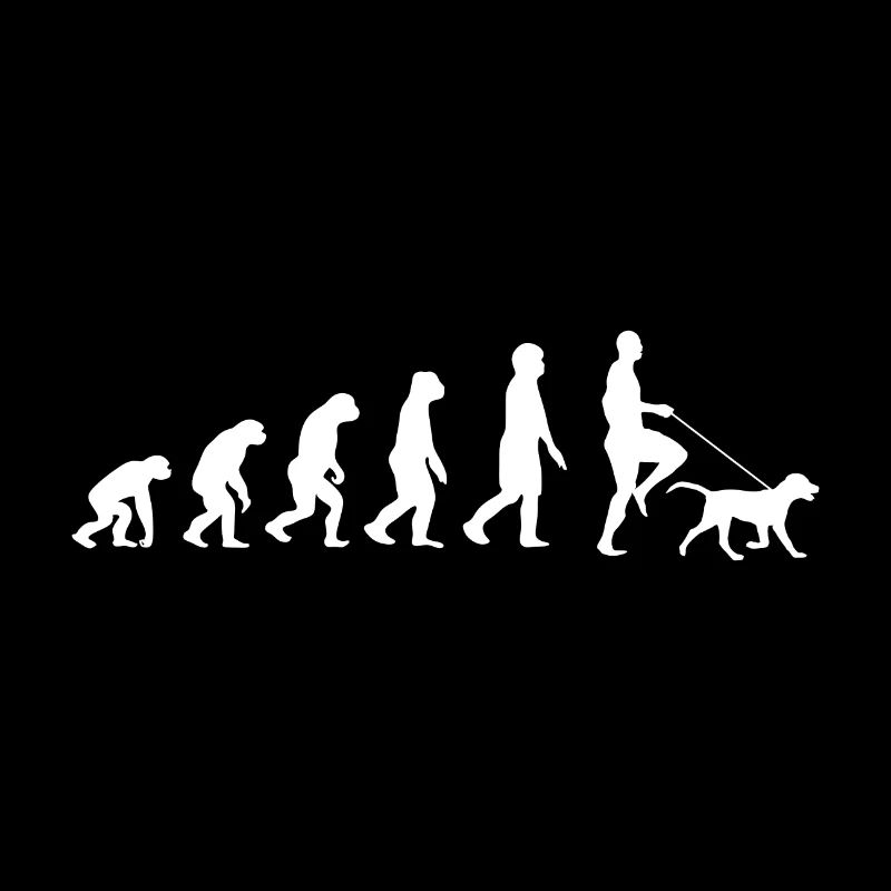 Labrador Evolution