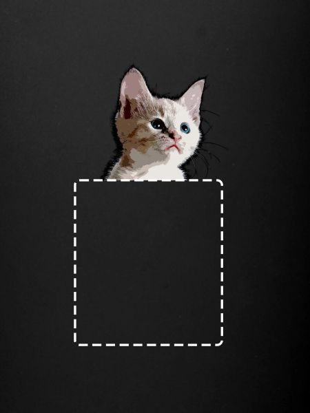 chat chaton chat disant