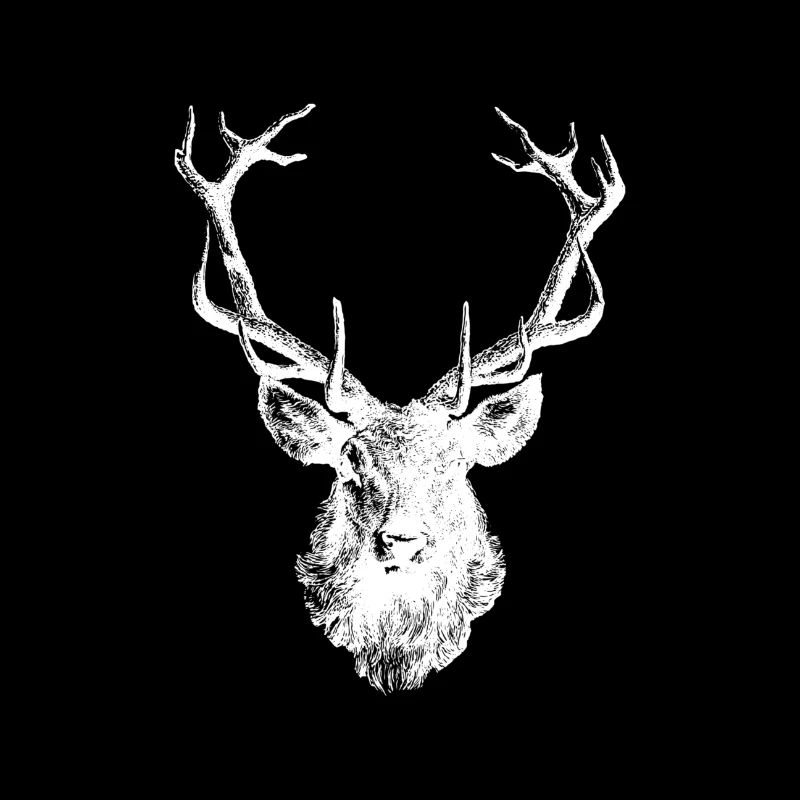 Hirsch - Hirschgeweih