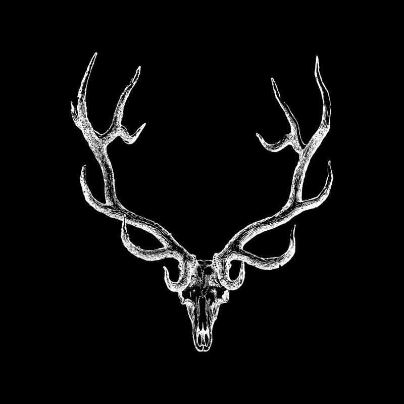 Cerf - bois de cerf