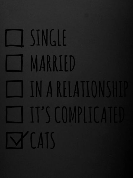 Single Married... Cats