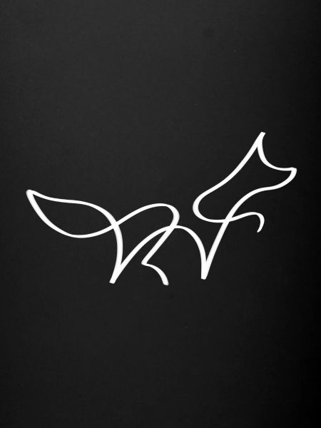 Renard une ligne blanc