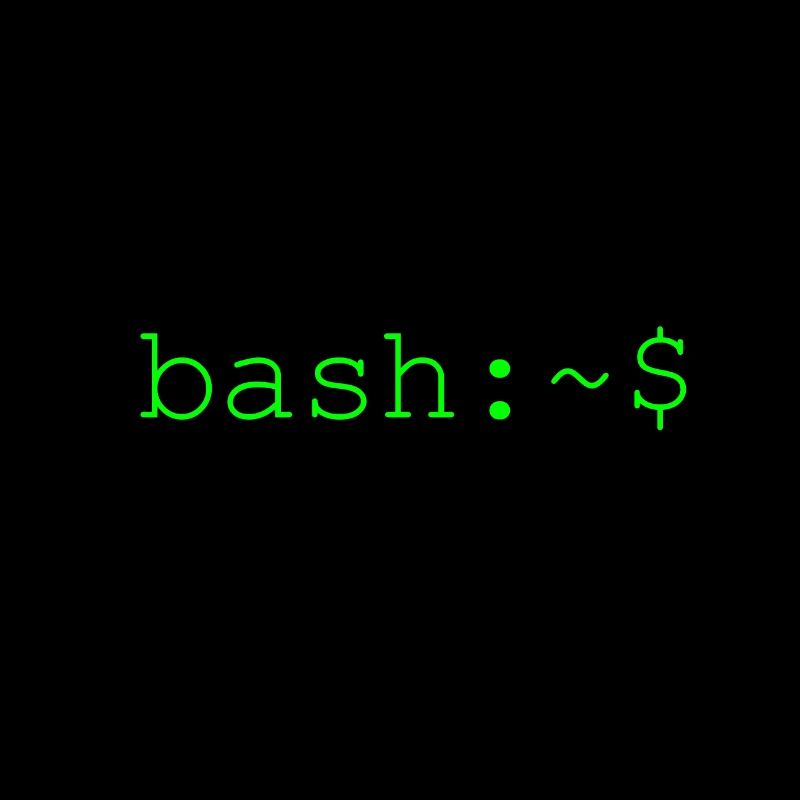 Console shell bash Linux