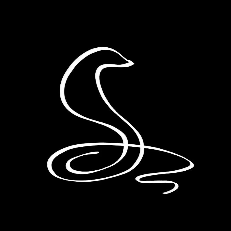 One line snake white