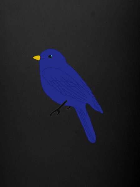 Oiseau bleu
