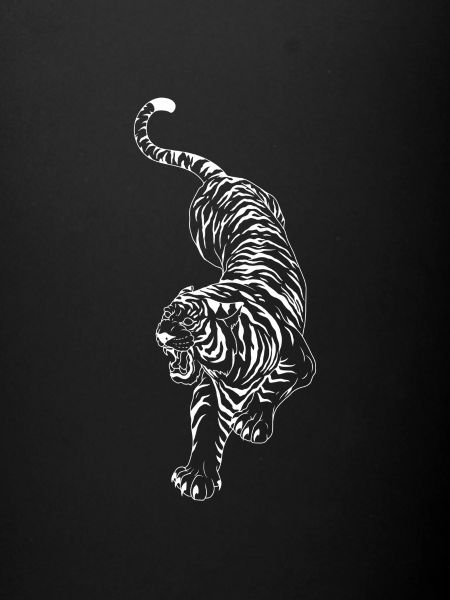 '' Tigre blanc