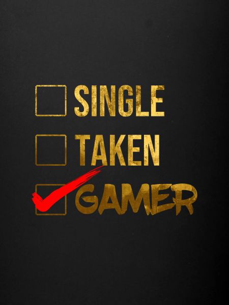 Single Assigned Gamer