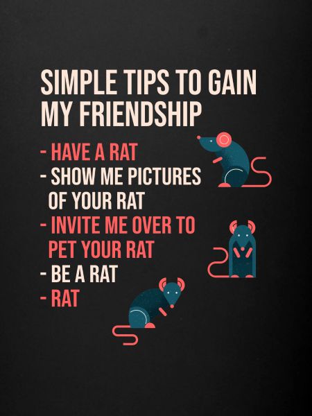 Rats