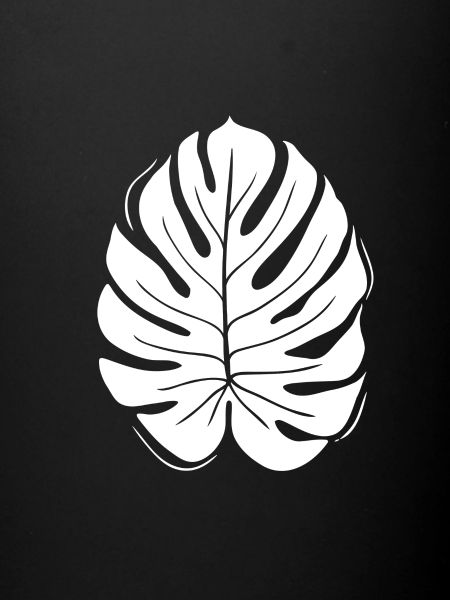 feuille nature(nature)